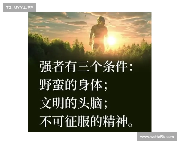 掌控命运与荣耀崛起:从破碎王国到英雄之路的成长篇章 掌控命运与荣耀崛起:从破碎王国到英雄之路的成长篇章