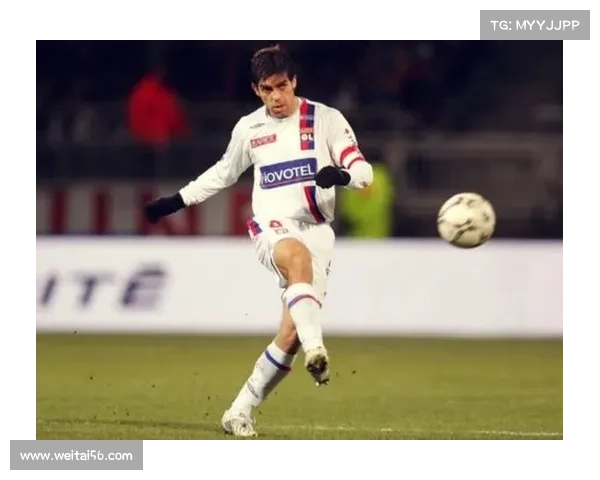 围绕法甲冠军徽章你不可错过的五大关键知识深度解析指南全面版